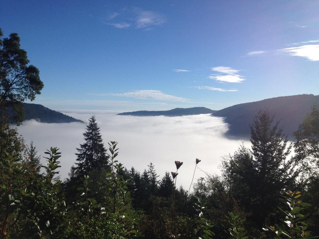 Moon Water Lodge Malahat Bilik gambar